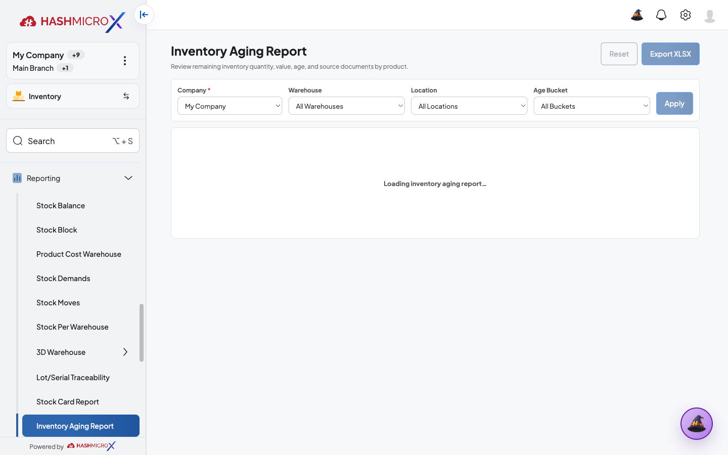 Inventory Aging Report